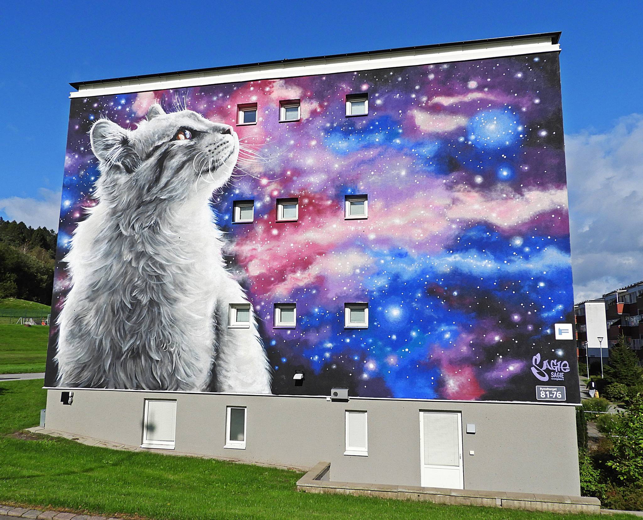 Sagie&mdash;Space cat