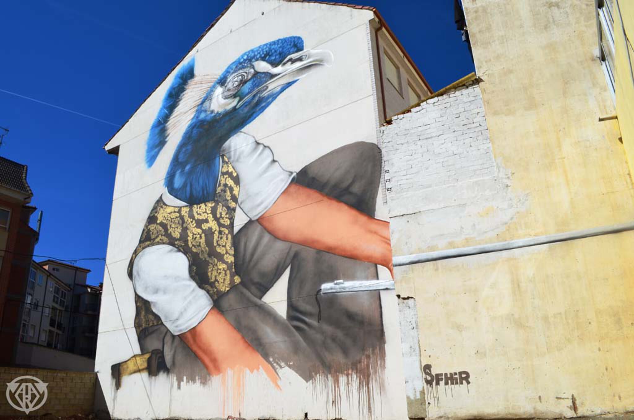Sfhir&mdash;Birdman 2015