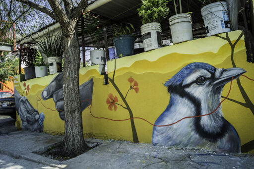 SN / Galería Arroyo Seco