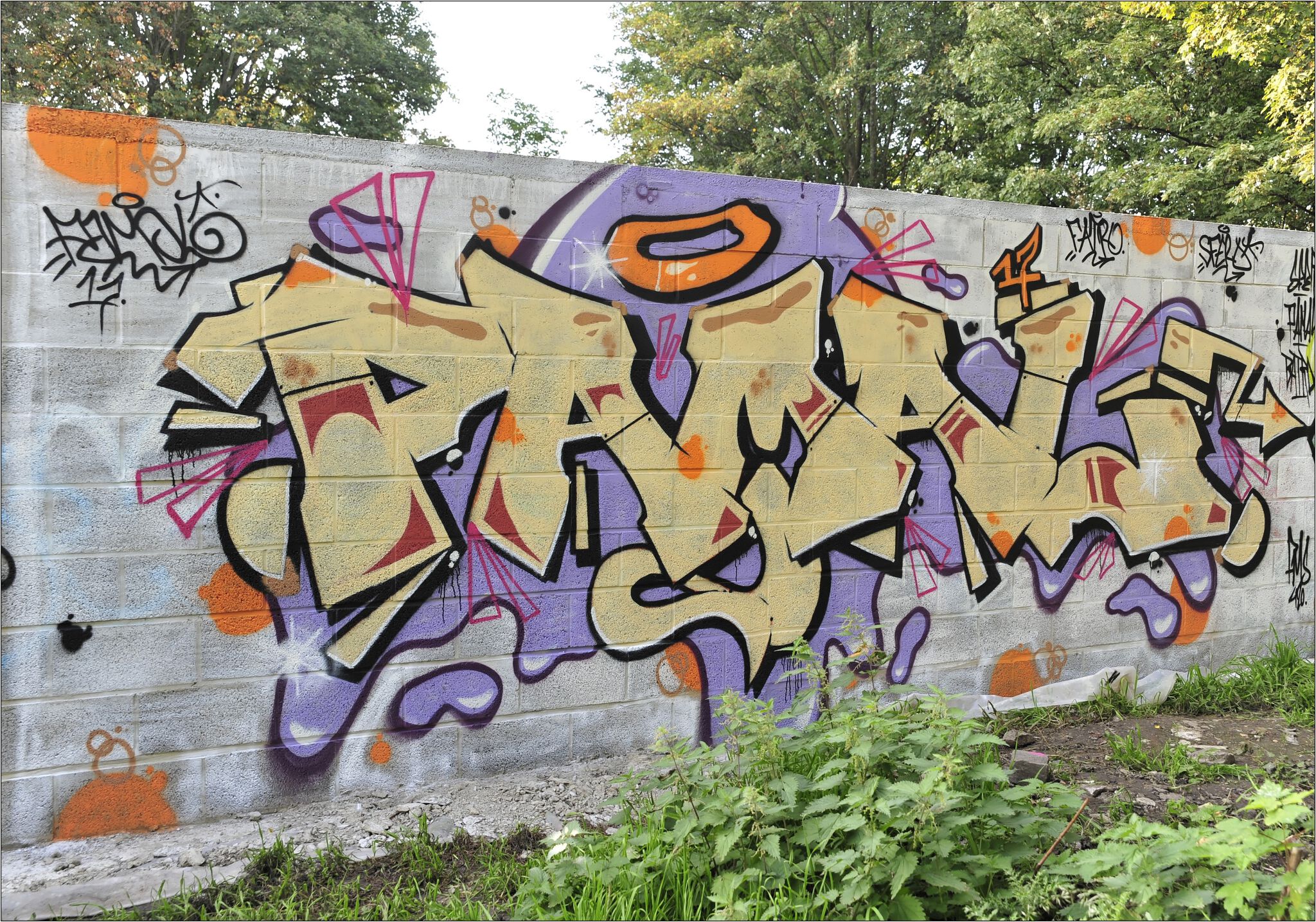 Noname, jnc, Ecto, Acide4000, nilon, nico hayer, Soke - la cabane, etc...., PsoMan&mdash;Skate Parc de Cointe