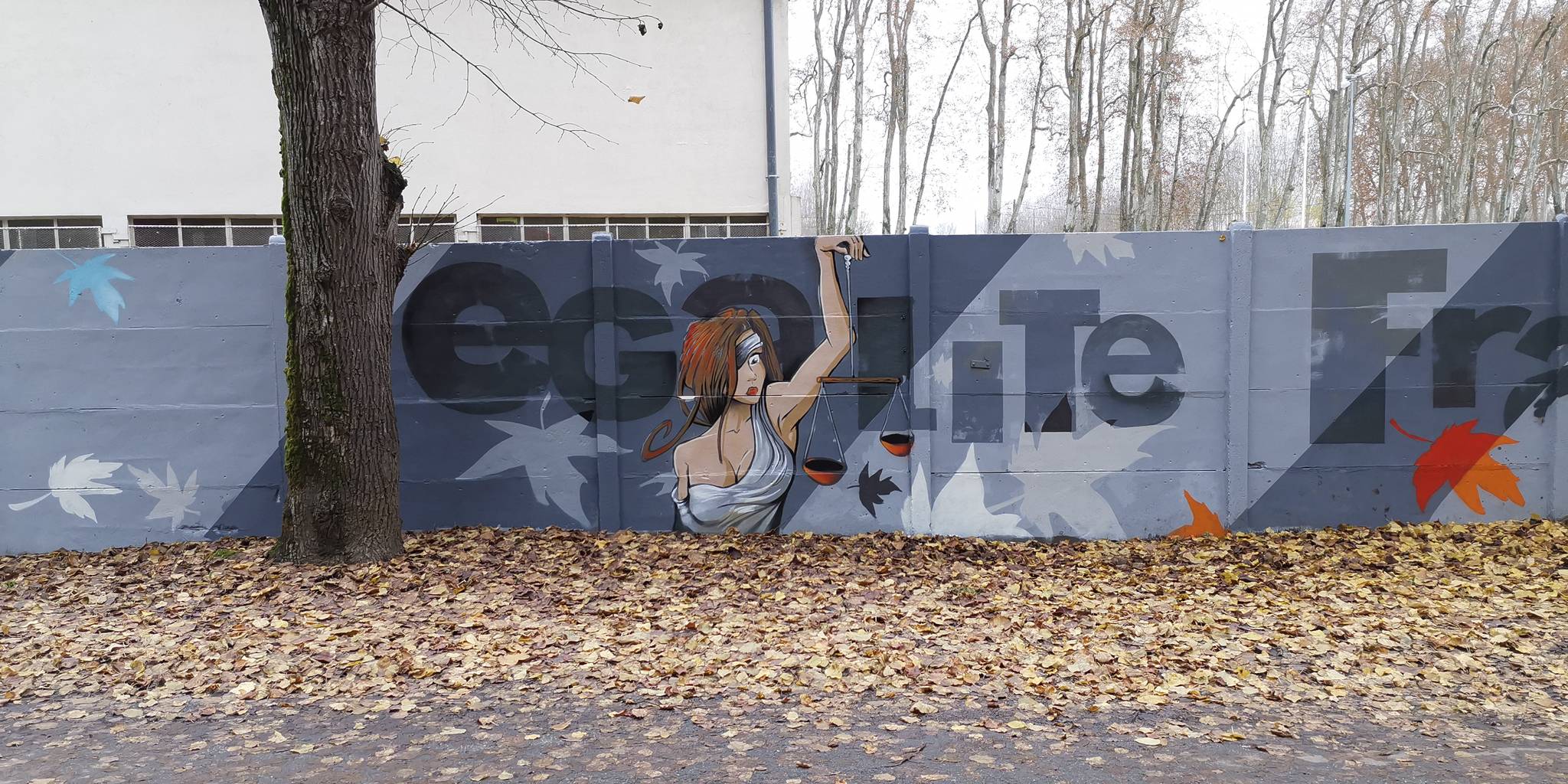 Tigre&mdash;Liberté égalité fraternité ?
