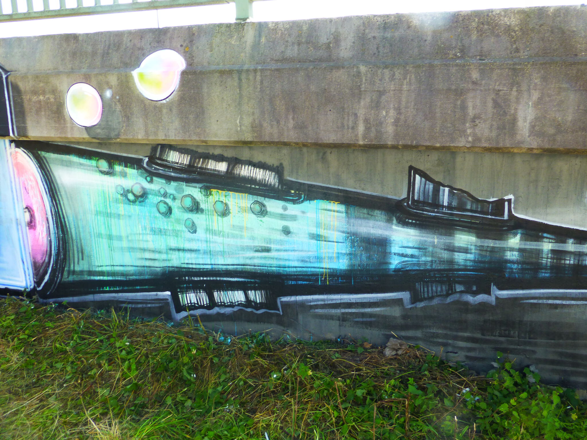 Piranha&mdash;Rocketfish