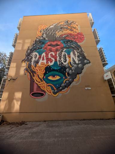 Pasion