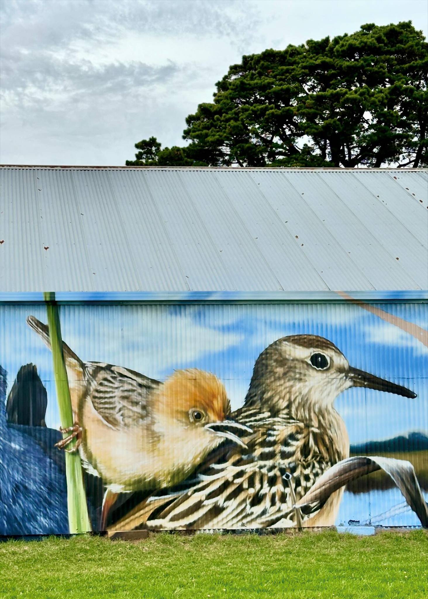 Dvate&mdash;Down’s Community Farm