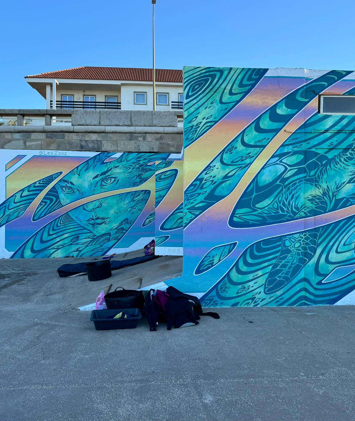 Lex-zooz&mdash;Mural “Into the flow”