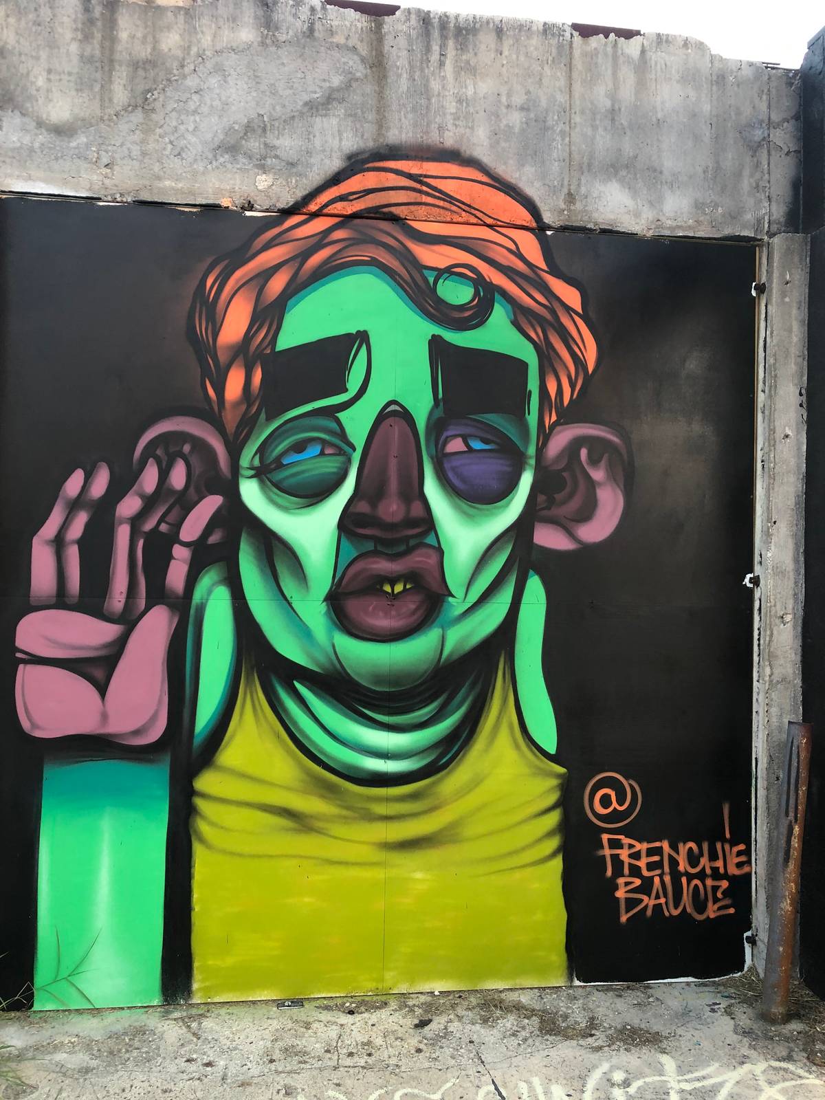 Frenchie Bauce&mdash;undefined