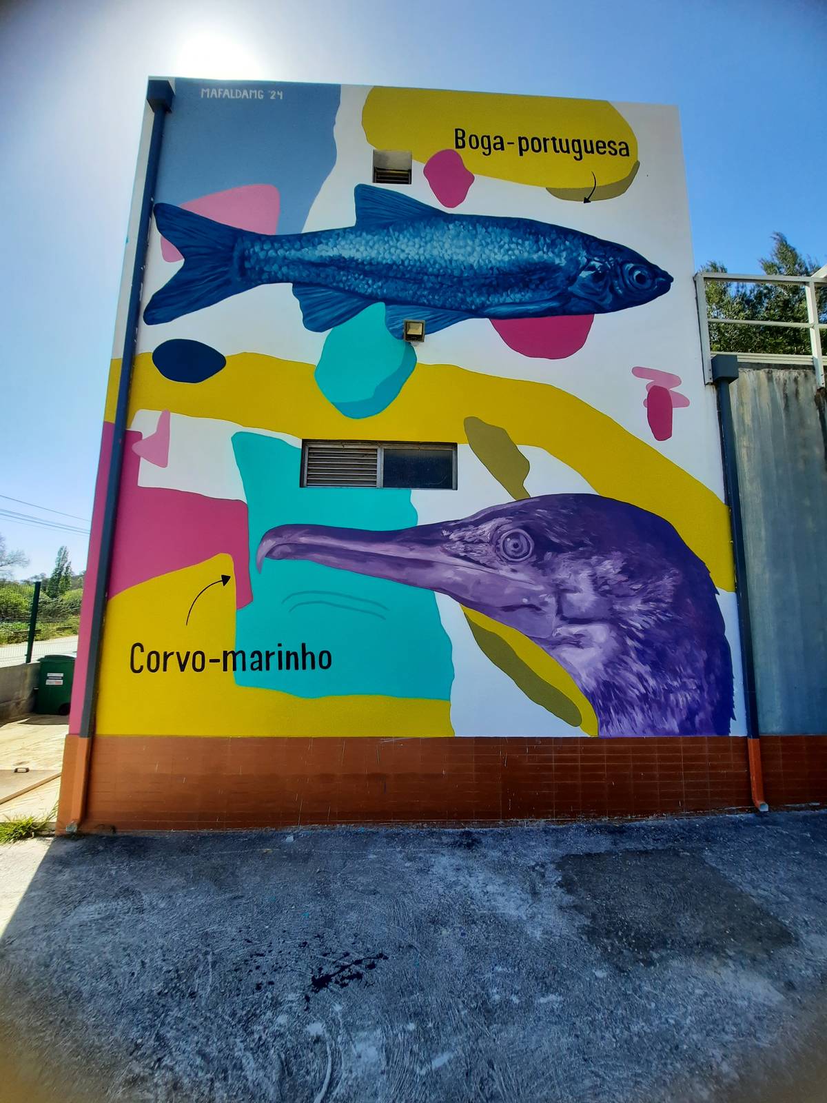 Mafalda MG&mdash;Biodiversidade local