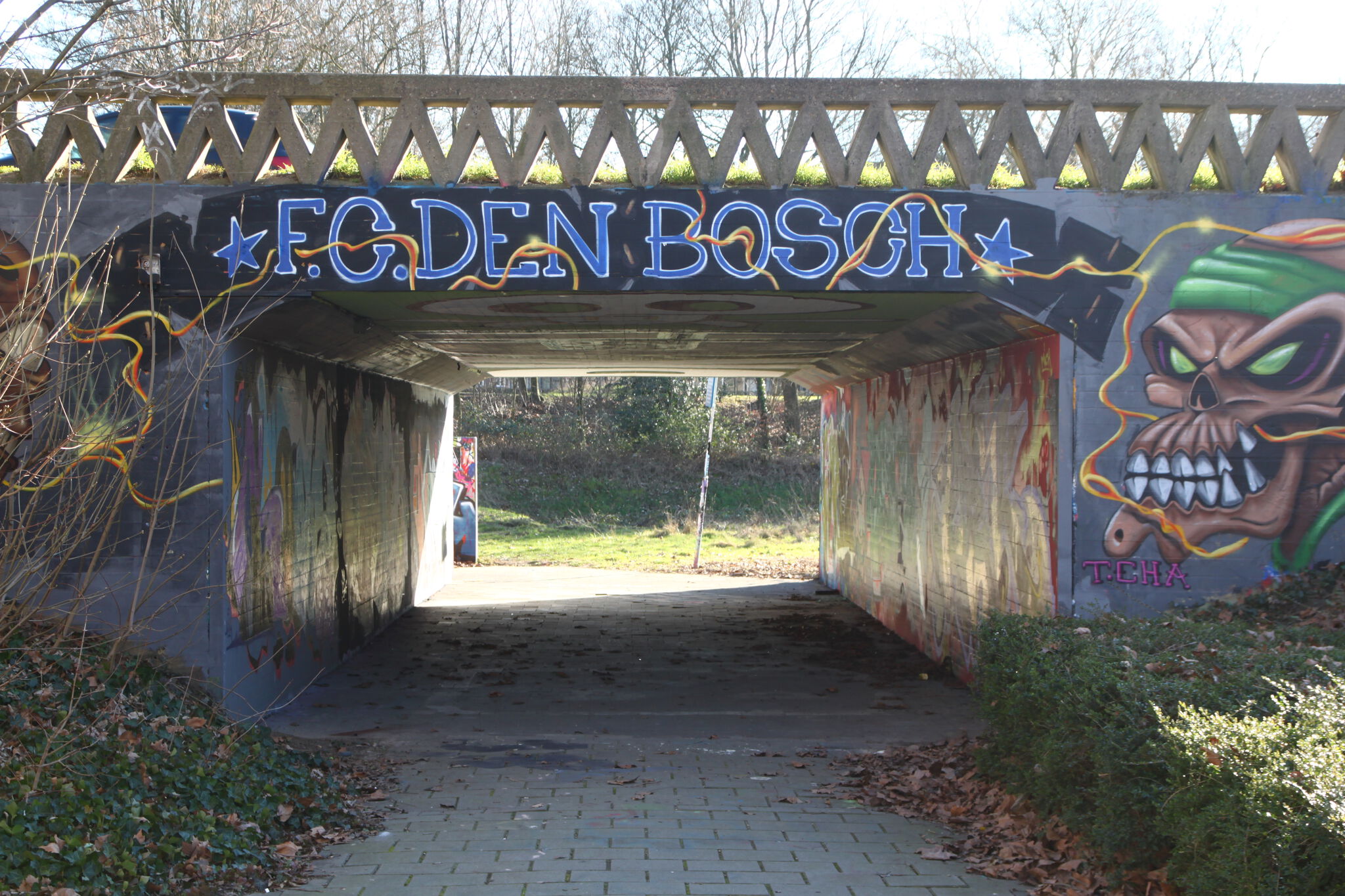 T.cha, Various Artists&mdash;FC Den Bosch