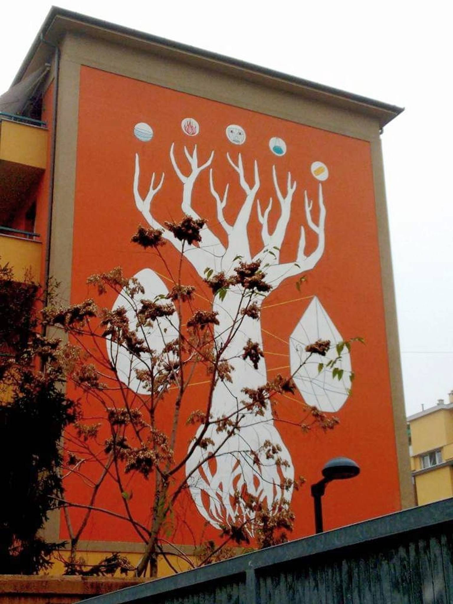 Andreco&mdash;Albero filosofico