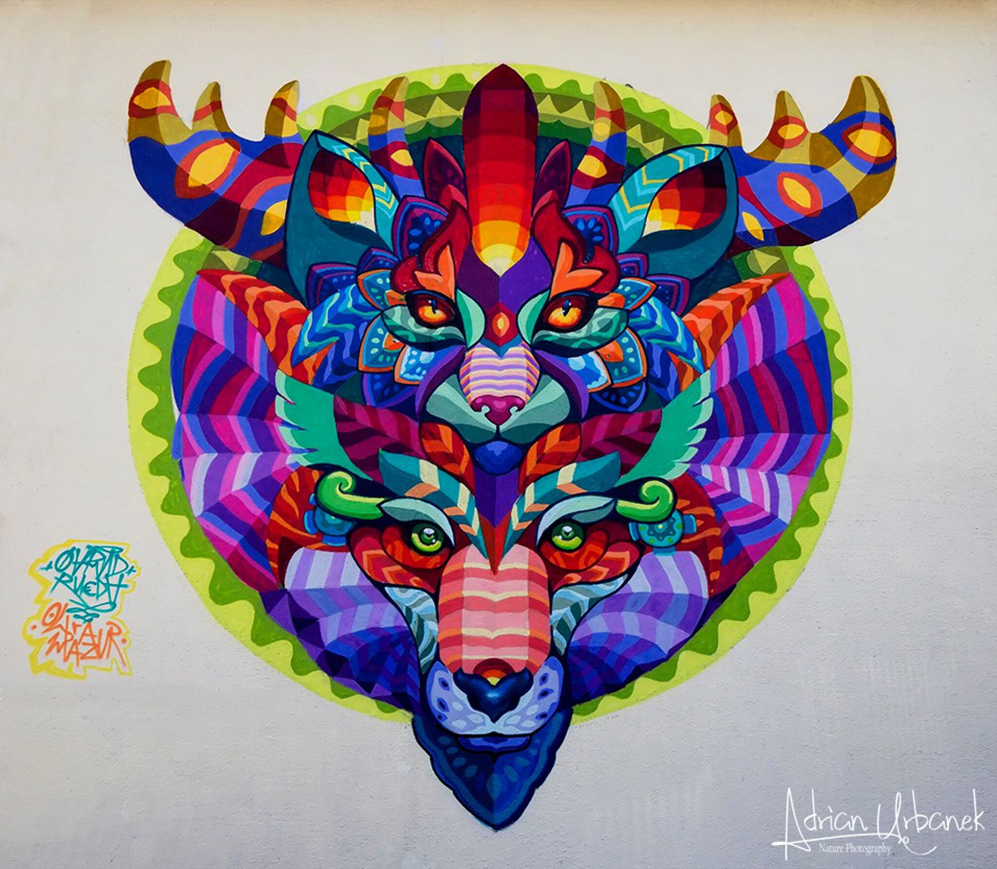 Farid Rueda&mdash;Brije