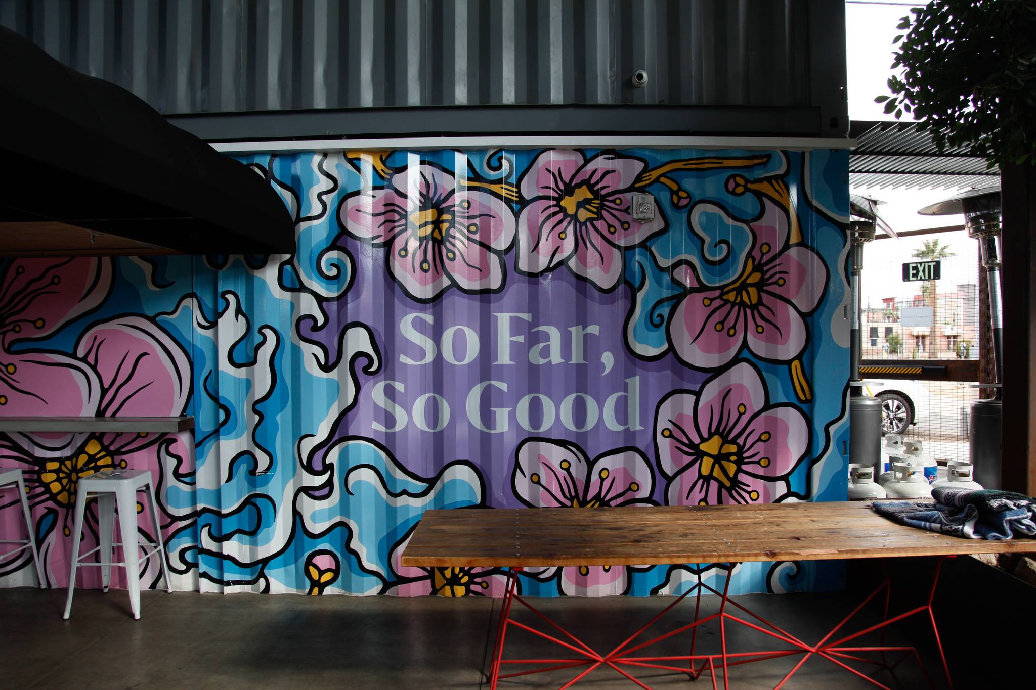 unknown&mdash;So Far So Good Mural