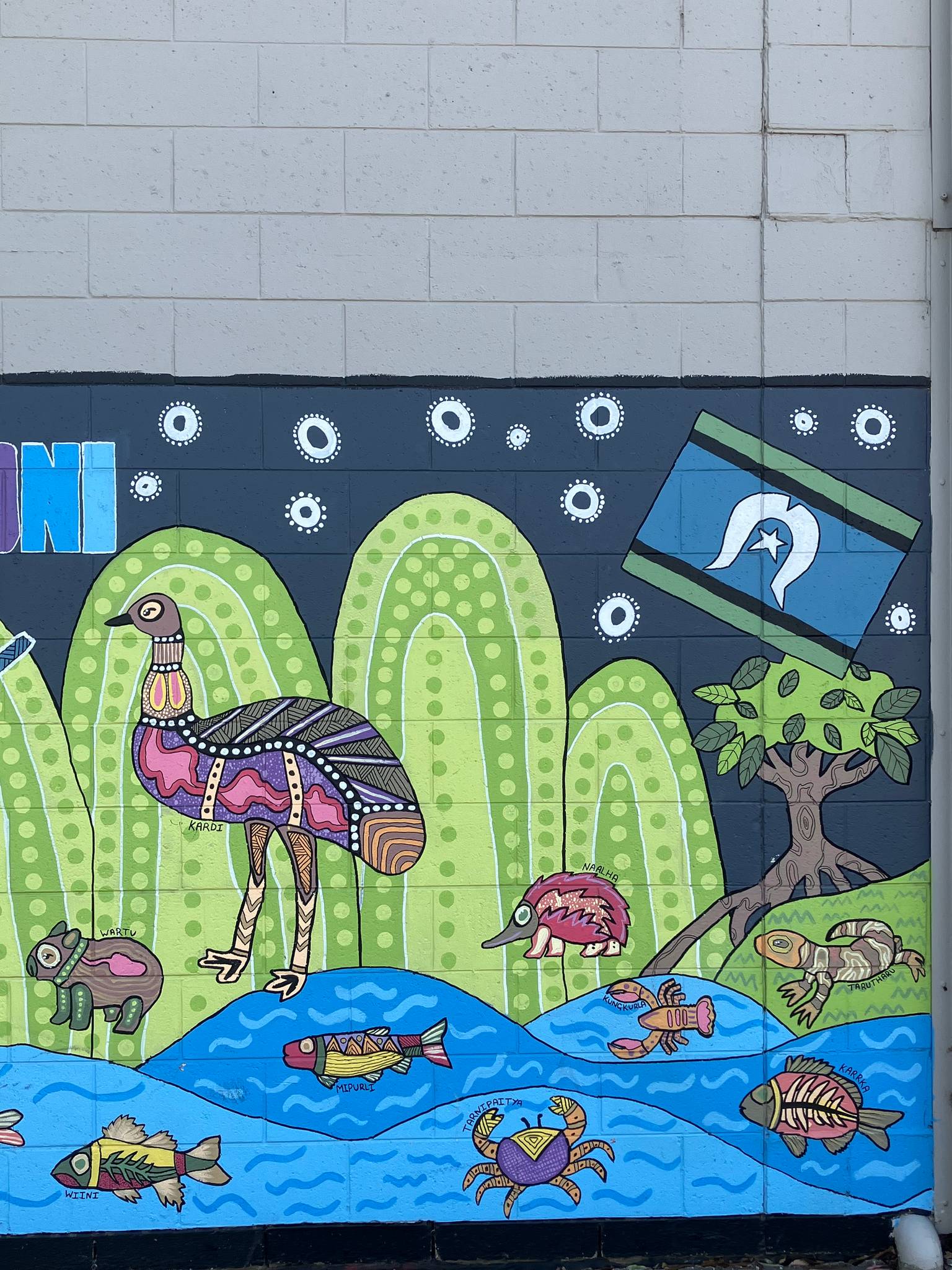 Unknown - Adelaide&mdash;undefined