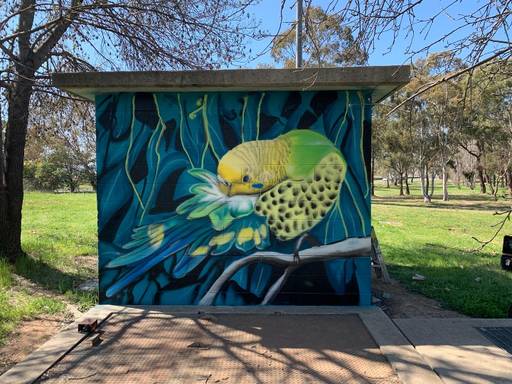 John's budgies