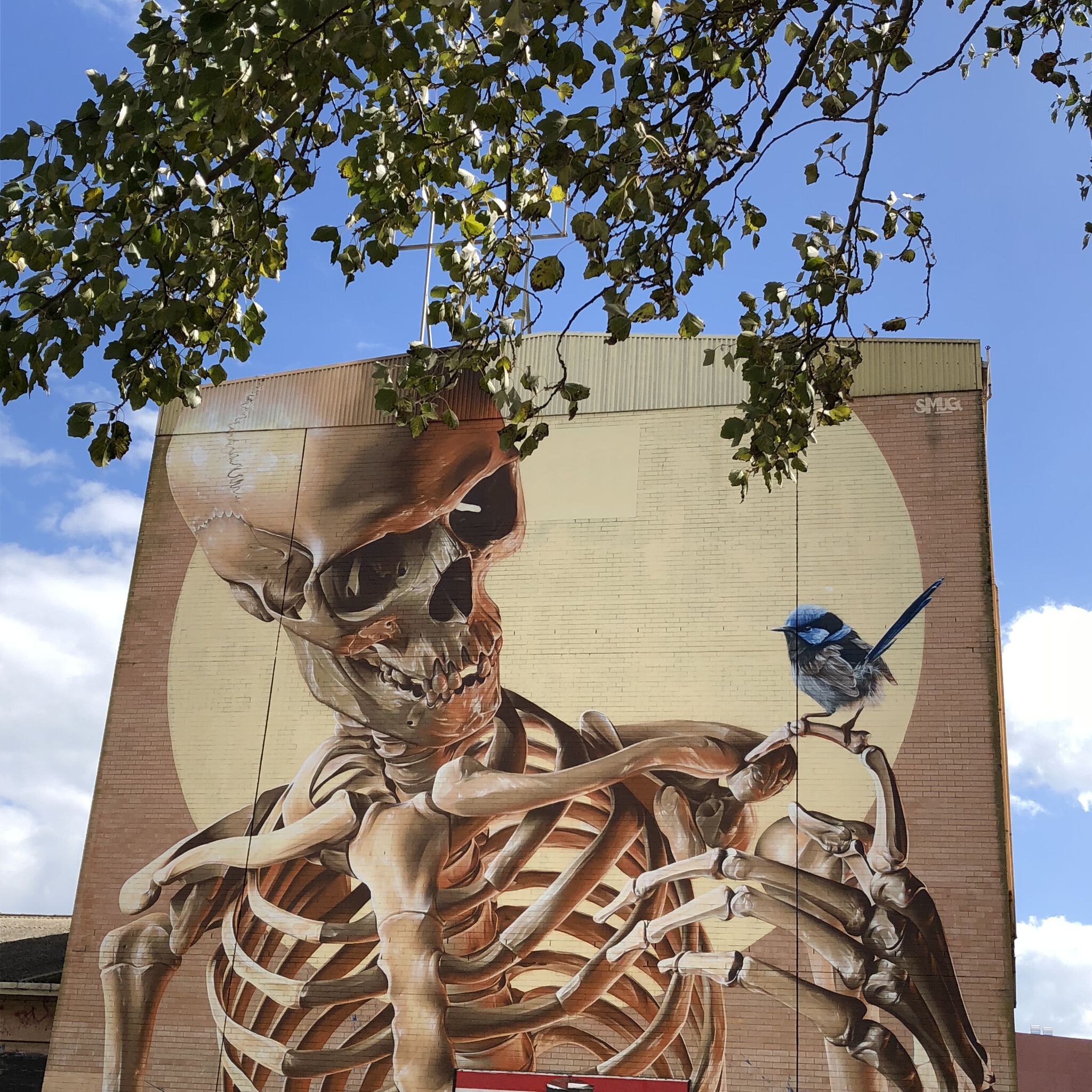 Smug&mdash;Skeleton and Bird