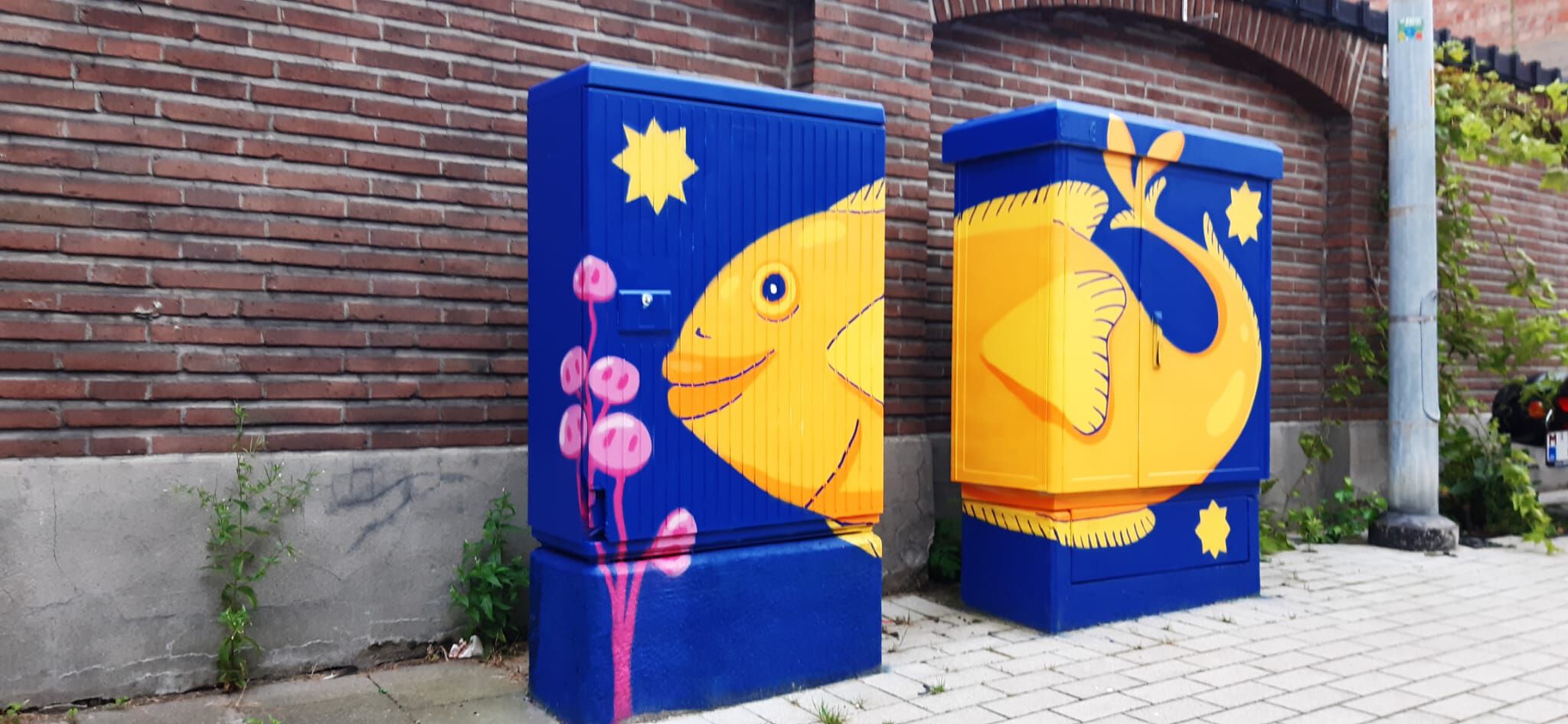Napam&mdash;Tour Elentrik - Piggy fish