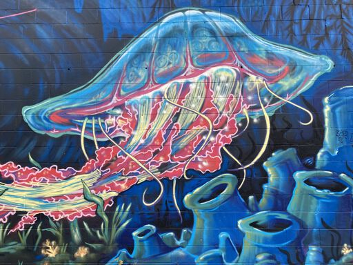 Shrimp and Jellyfish Wall