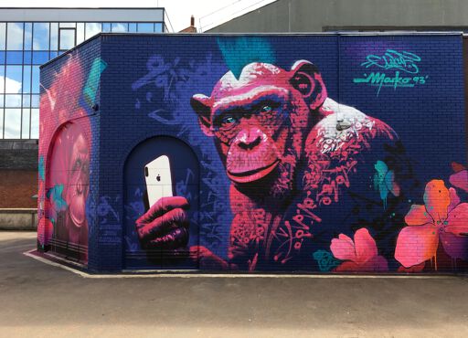 Connected Monkey