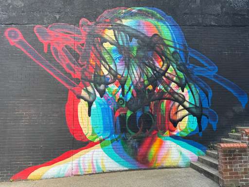 Voyder x Aches