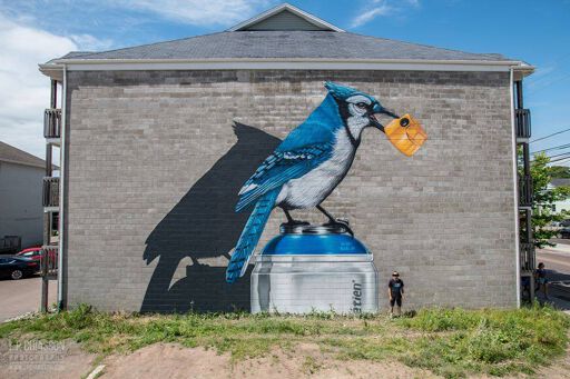 Blue Jay