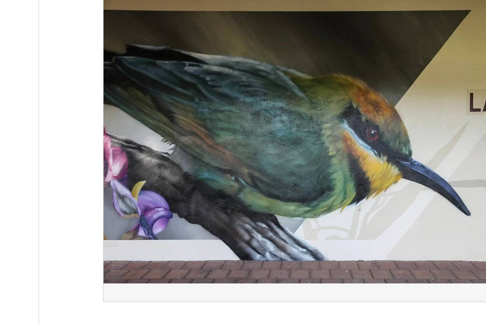 Dvate&mdash;Koala / Rainbow Bee Eater