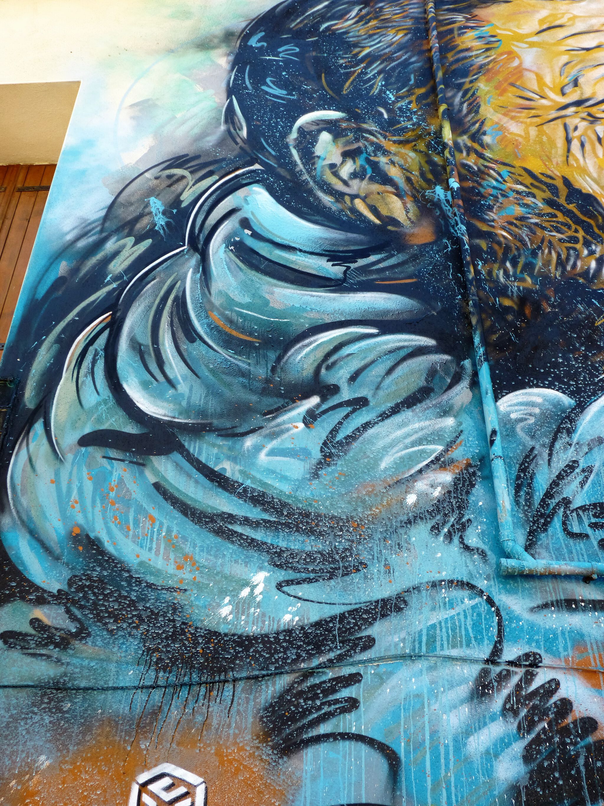 C215&mdash;C215 in Sète