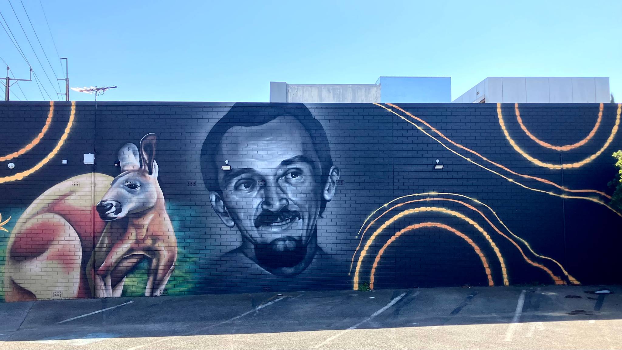 TR Visual Arts, Shane Kooka&mdash;undefined
