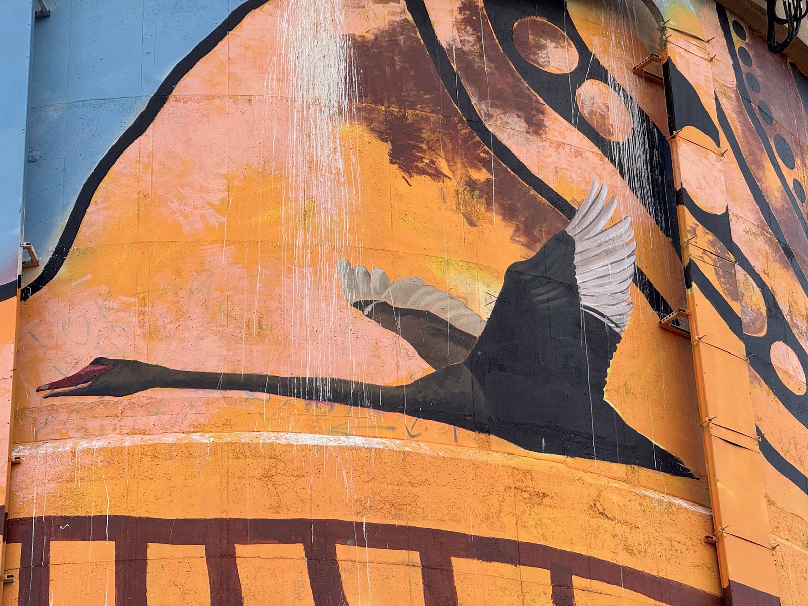 Vans The Omega, Refuz, Jasmine Crisp&mdash;Port Vincent Water Tower