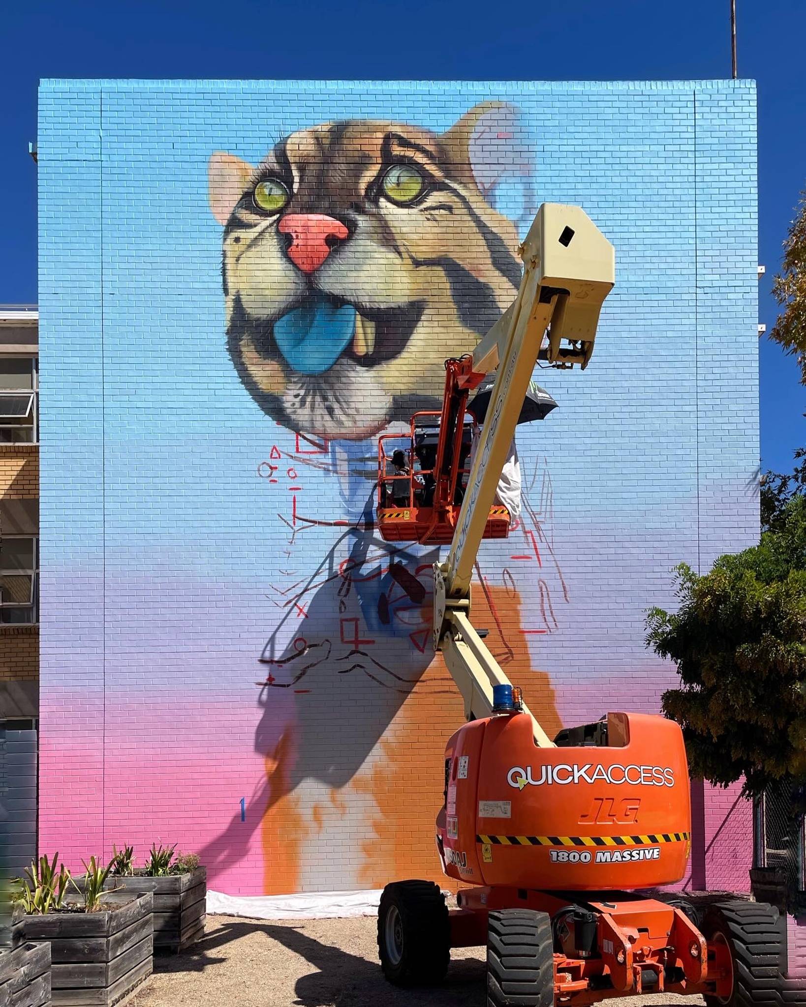 David Lee Pereira&mdash;Wild Cat with Blue Tongue