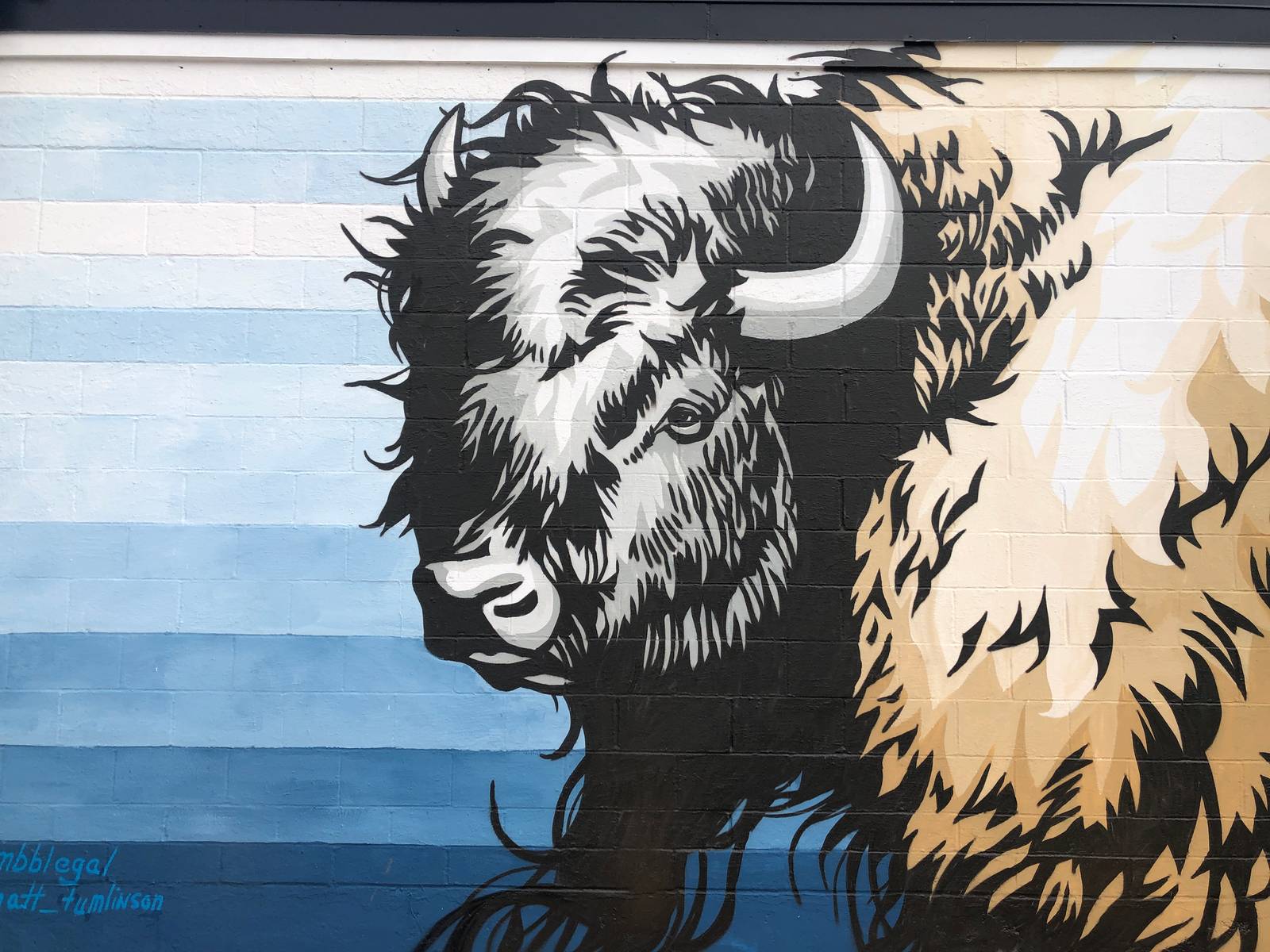 Matt Tumlinson&mdash;Bison or Buffalo?