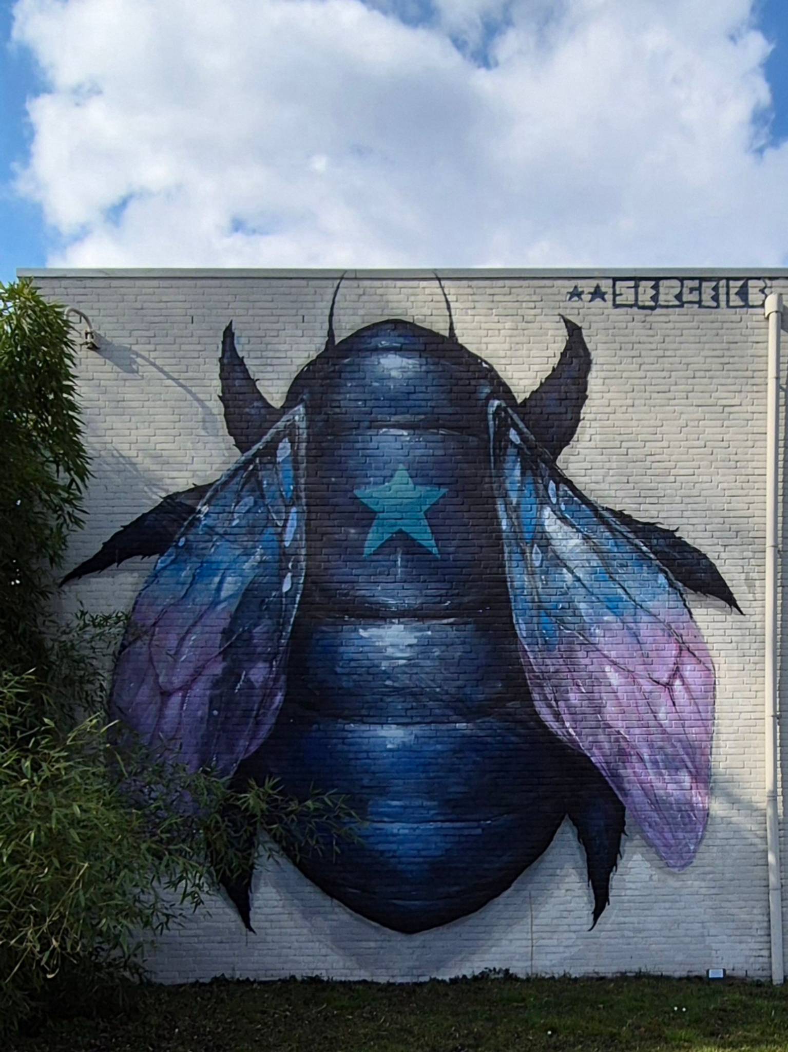 Serge Kb&mdash;Carpenter Bee