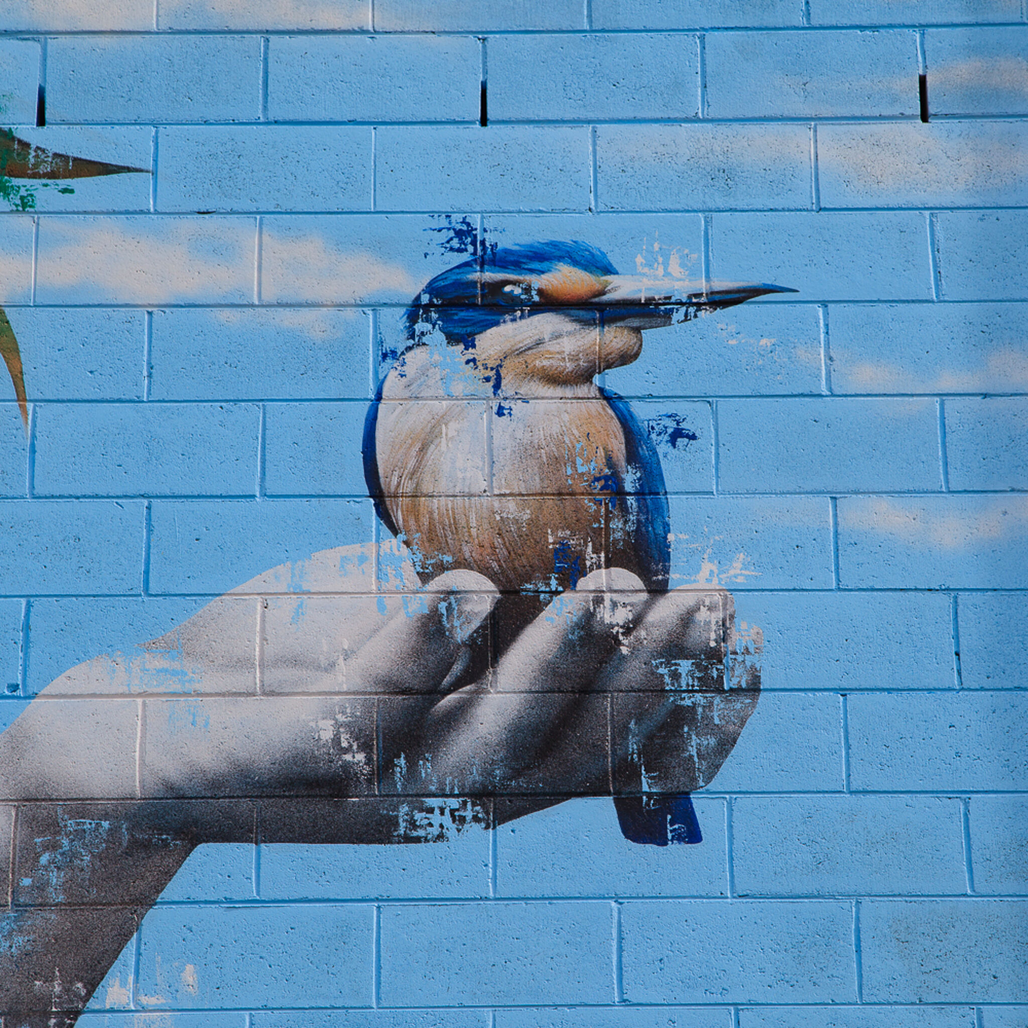 Fin DAC&mdash;Kaitiaki