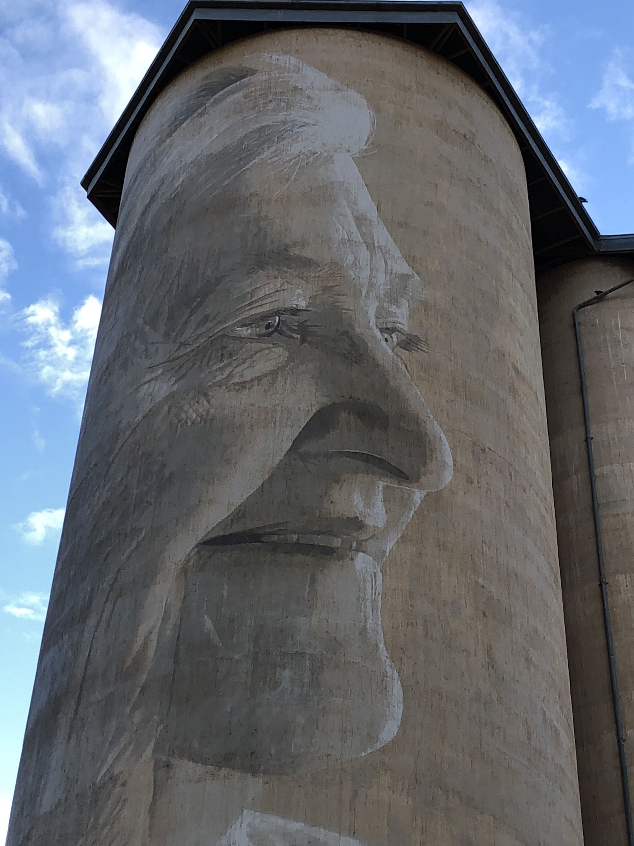 Rone&mdash;Lascelles Silo Art