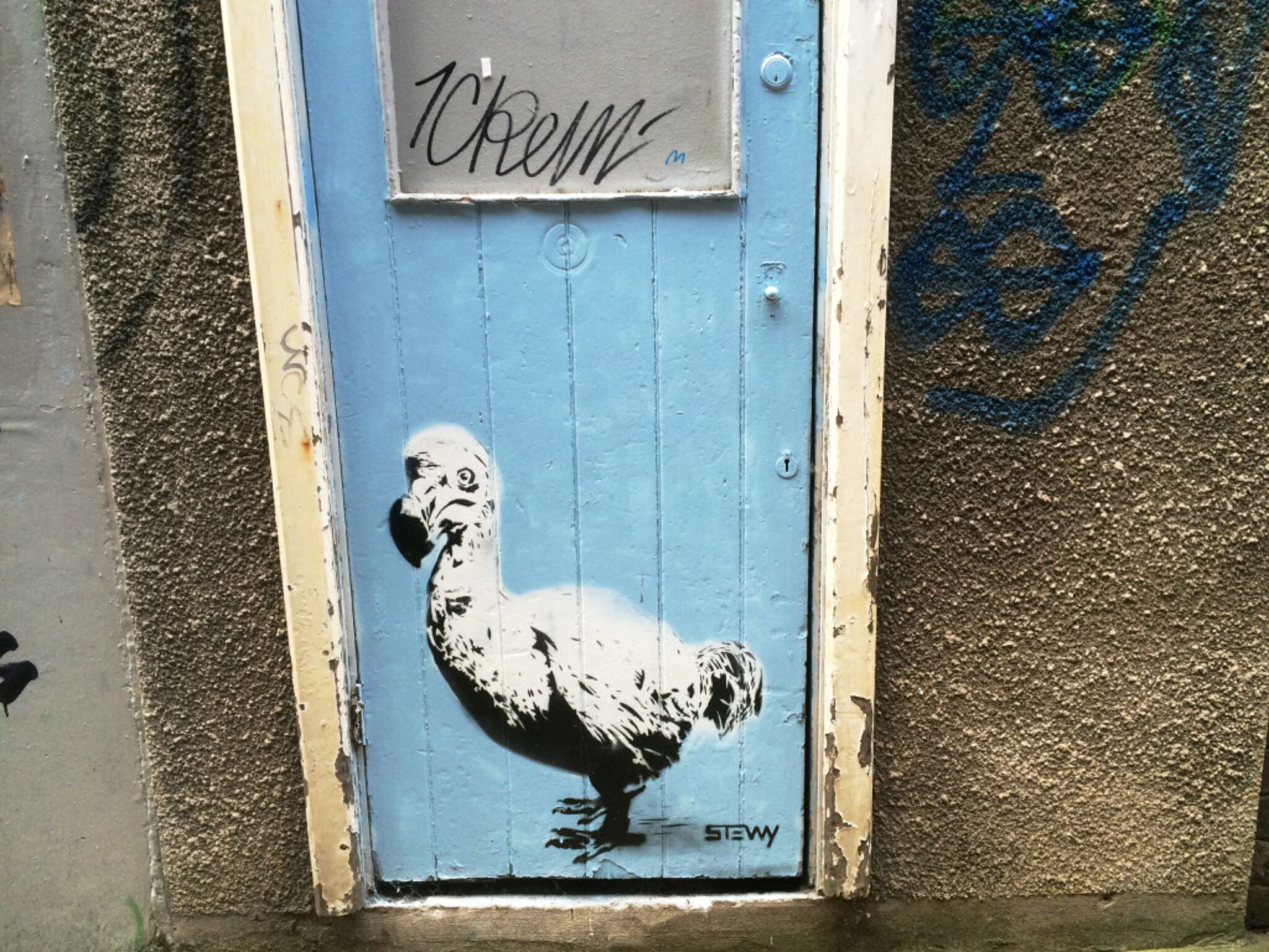 Stewy&mdash;Dodo