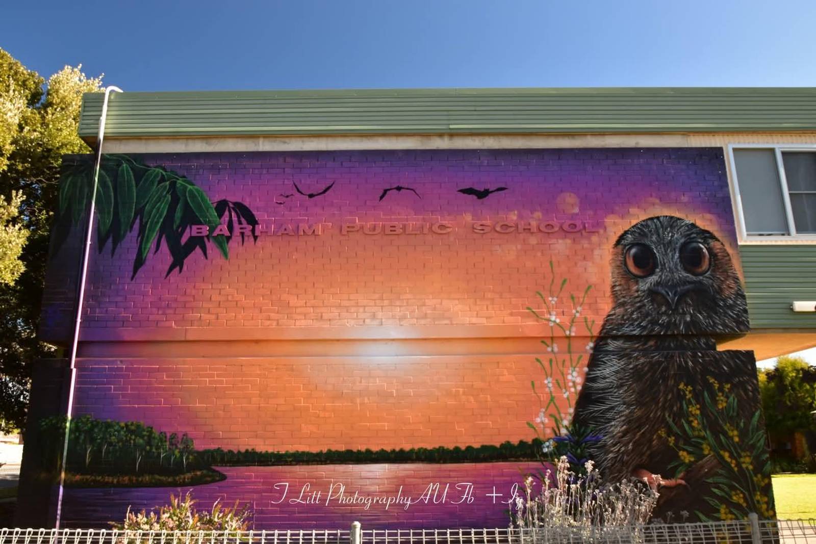 Nitsua&mdash;Owlet Nightjar
