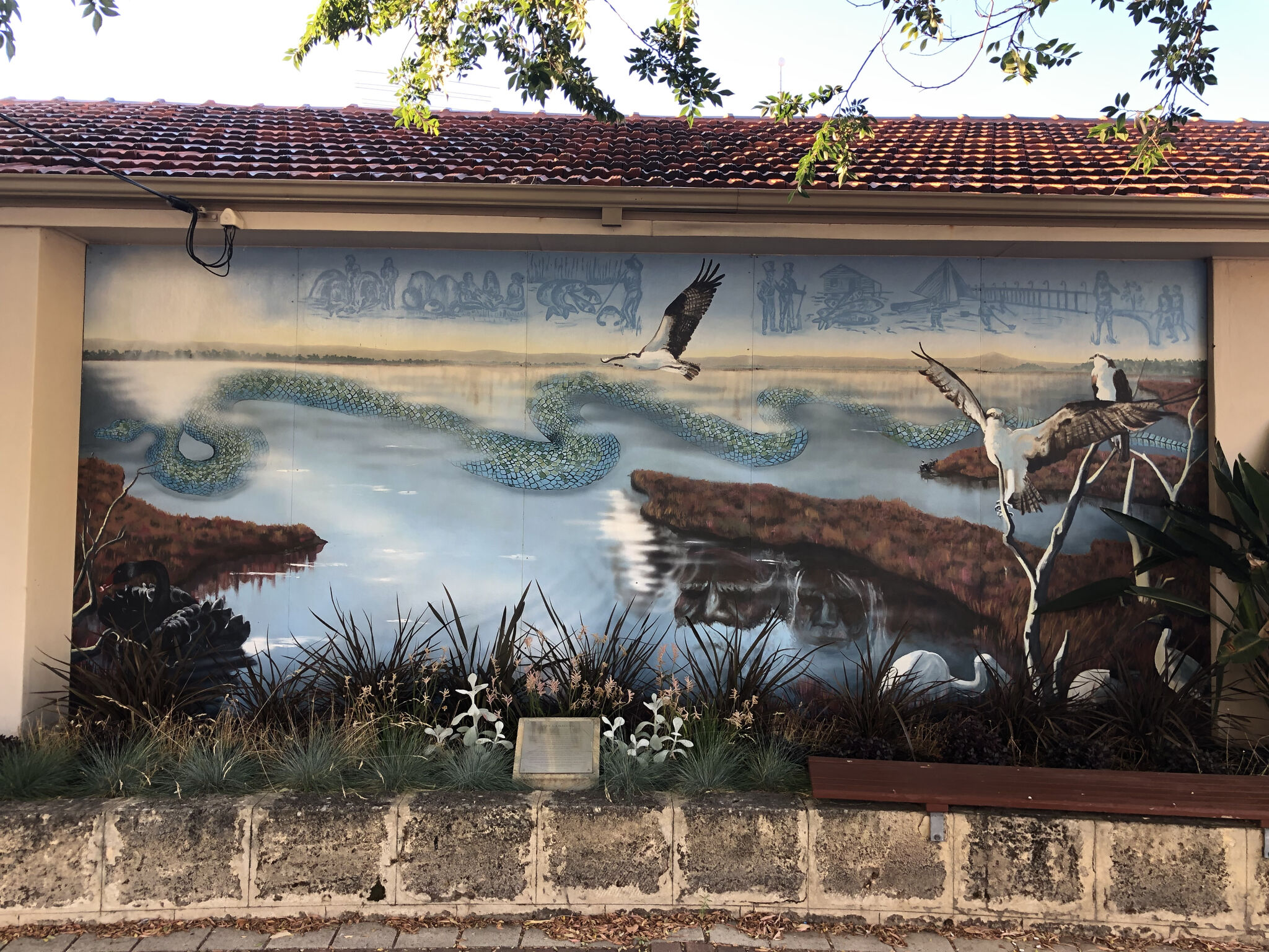 Celestin Hutchinson&mdash;Mandurah Museum