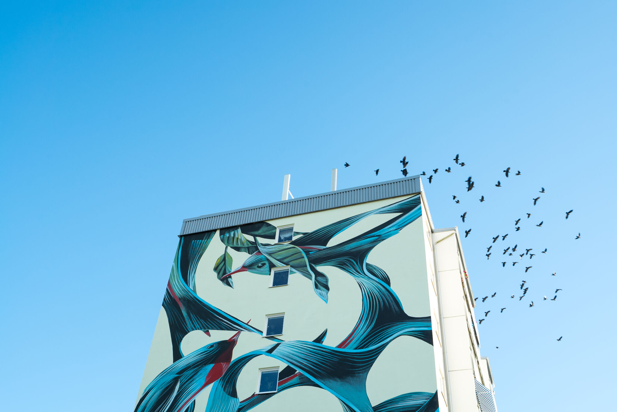 Pantonio&mdash;Blueberries