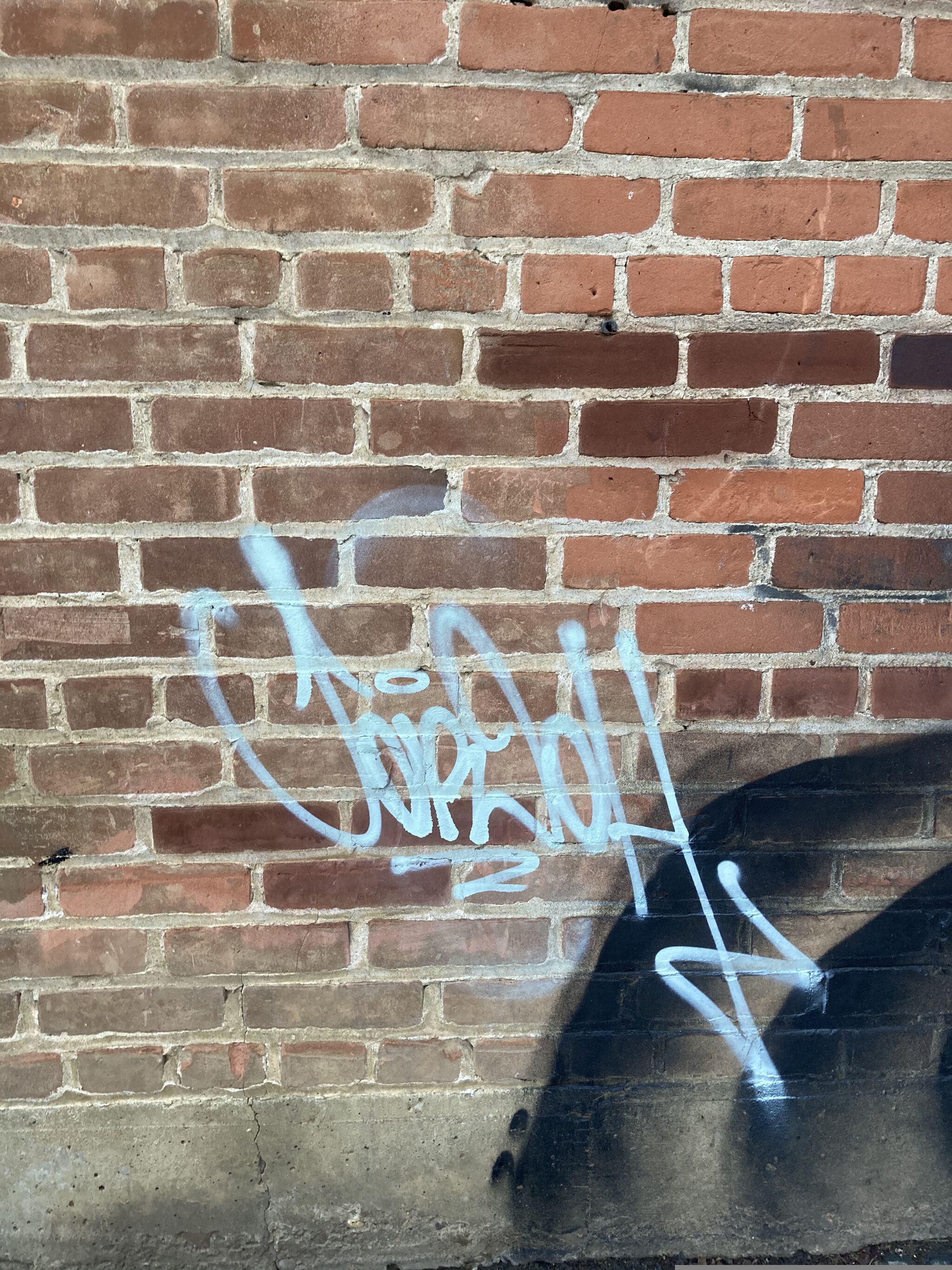 Graffiti Salad&mdash;2020