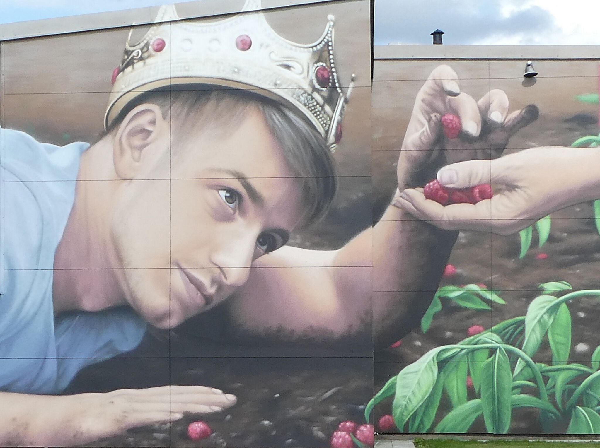 bkfoxx&mdash;The Rasberry King
