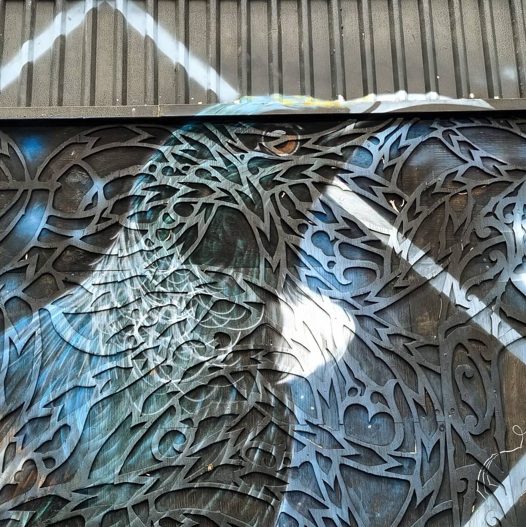 Feed item
