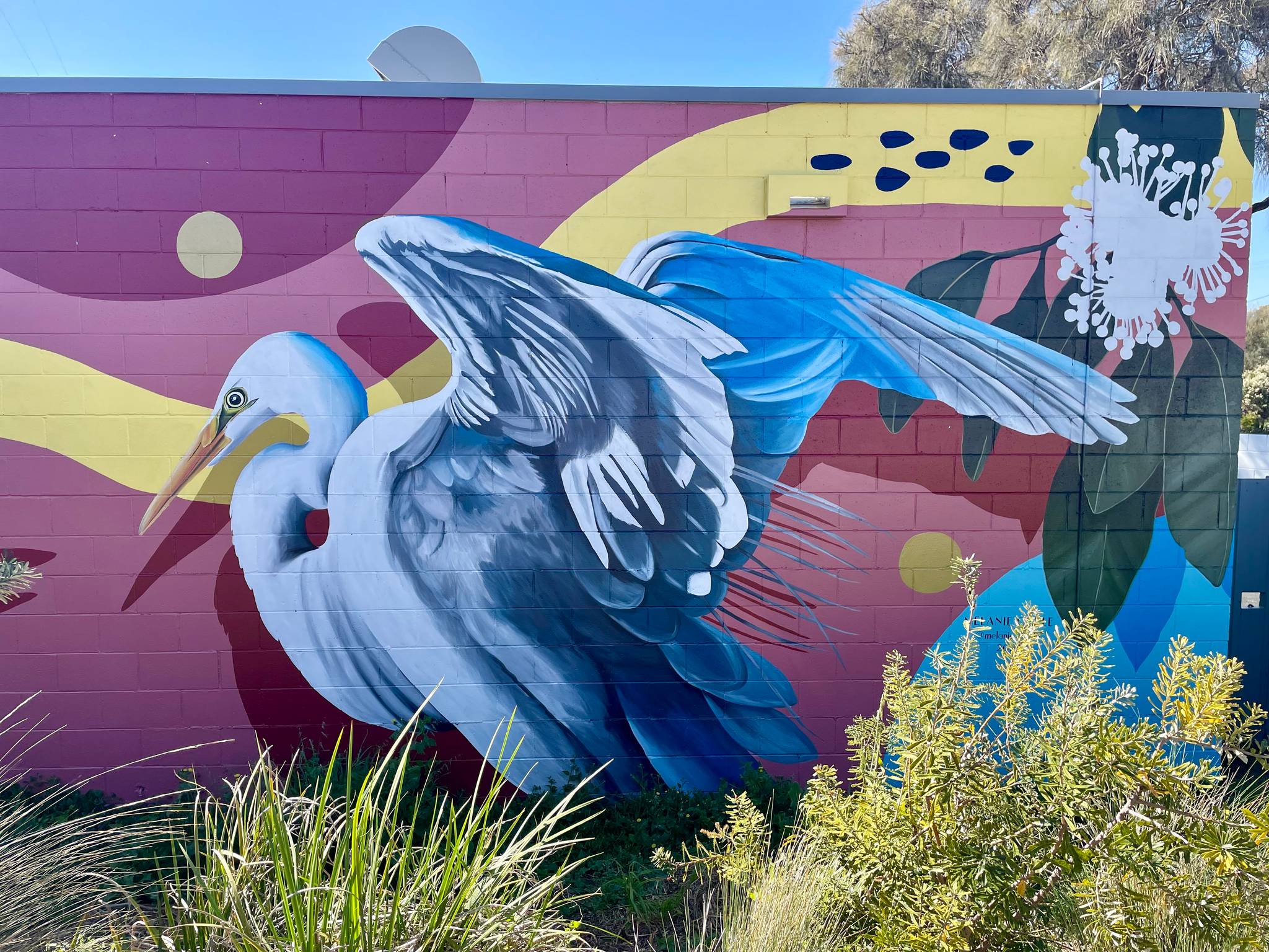 Melanie Caple&mdash;Locals