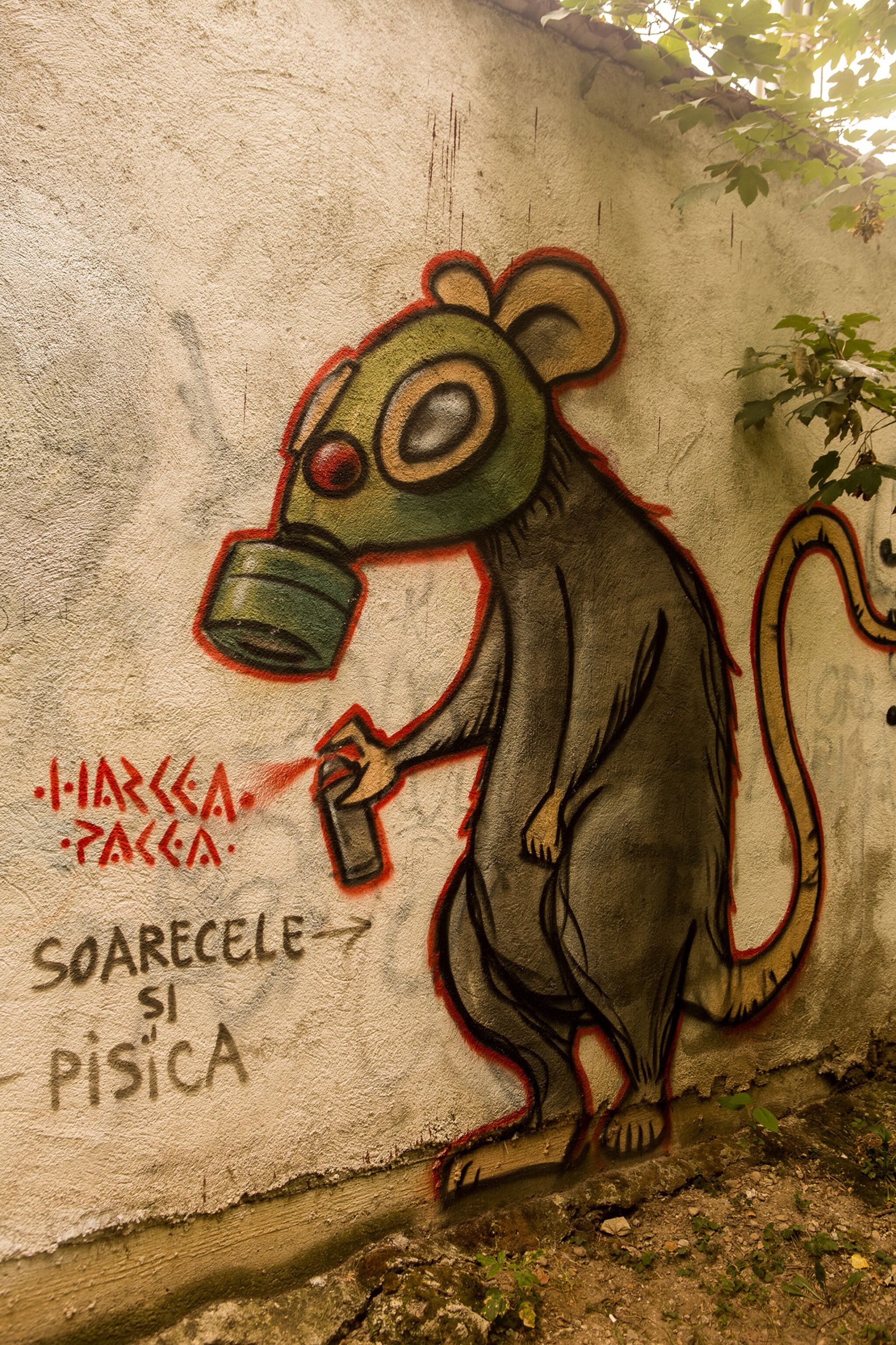 Harcea Pacea&mdash;Untitled