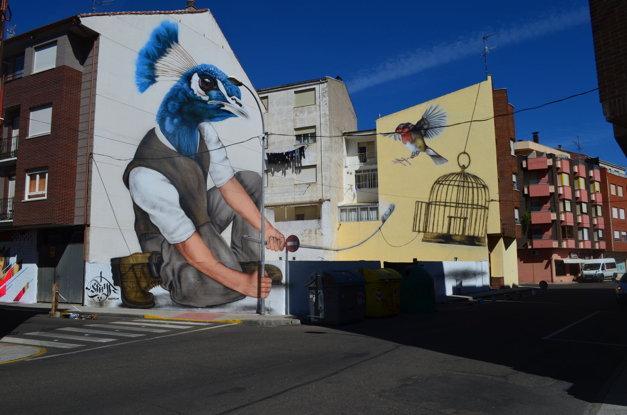 Sfhir&mdash;Birdman 2015