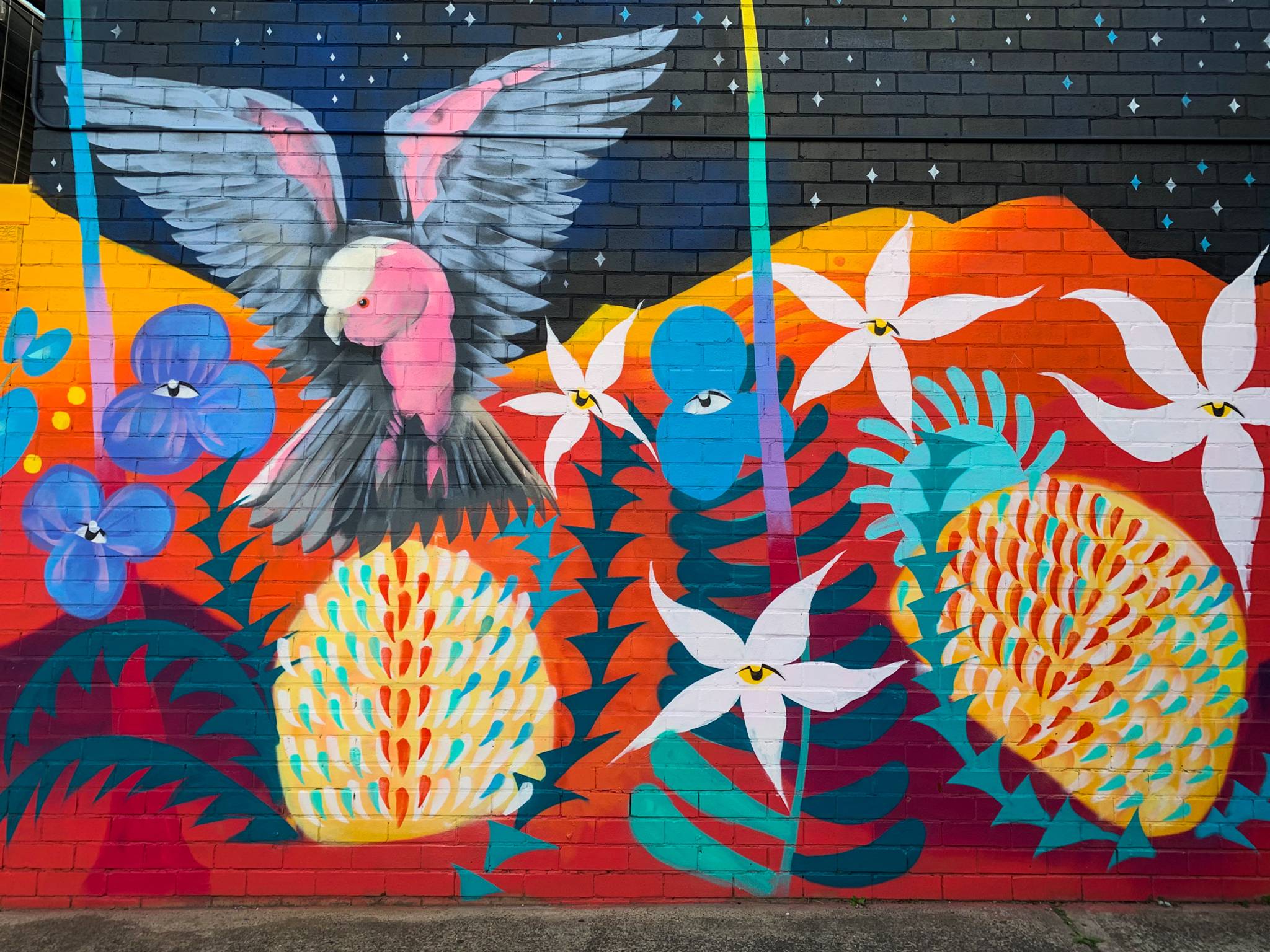 David Cragg&mdash;Midnight Showdown