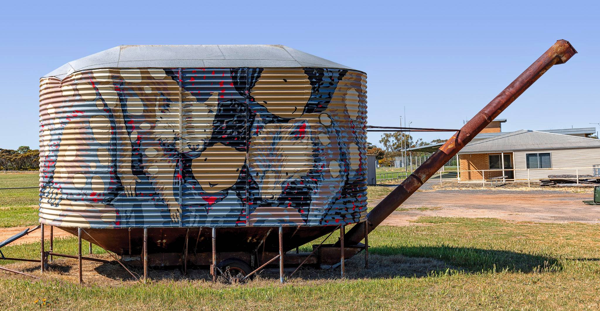 Kaffeine&mdash;Spotted-tailed Quoll