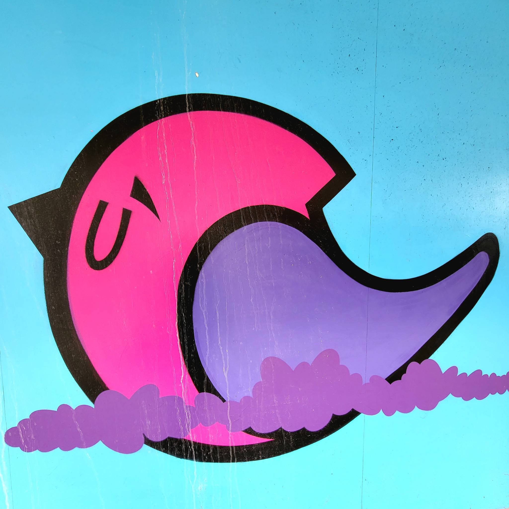 Roo Abrook, farkFK, My Dog Sighs, RoosArt, Mister Samo, Berk MLC, South Soak, Various Artists, Claudia La Bianca, Irony&mdash;Palmerston Road Precinct