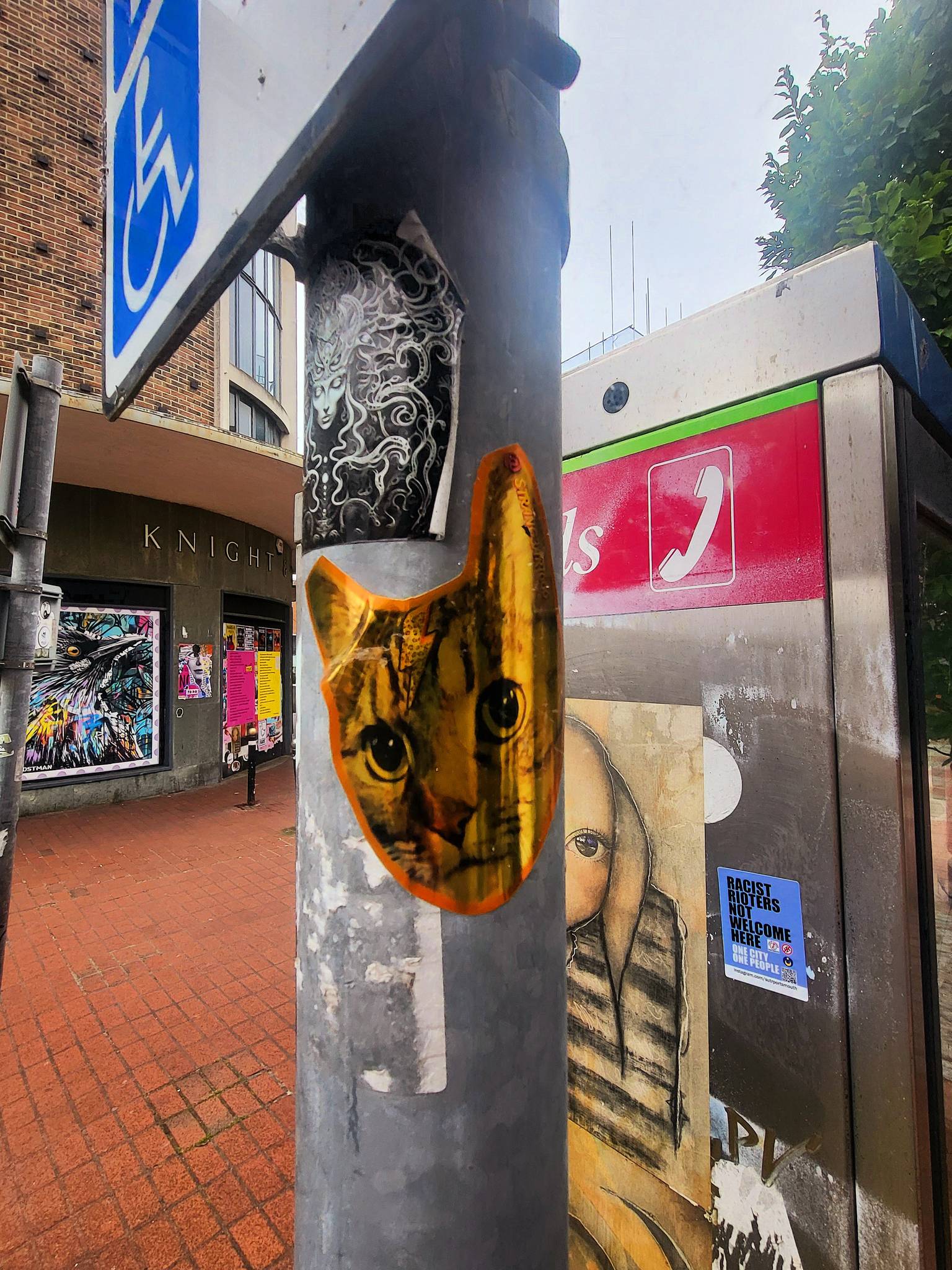 Roo Abrook, farkFK, My Dog Sighs, RoosArt, Mister Samo, Berk MLC, South Soak, Various Artists, Claudia La Bianca, Irony&mdash;Palmerston Road Precinct