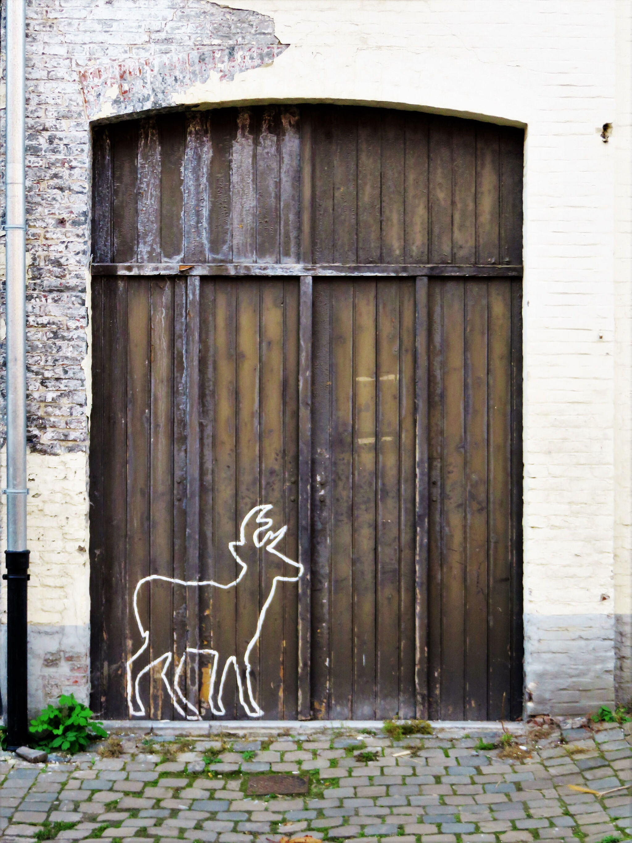 Unknown - Ghent&mdash;Deer