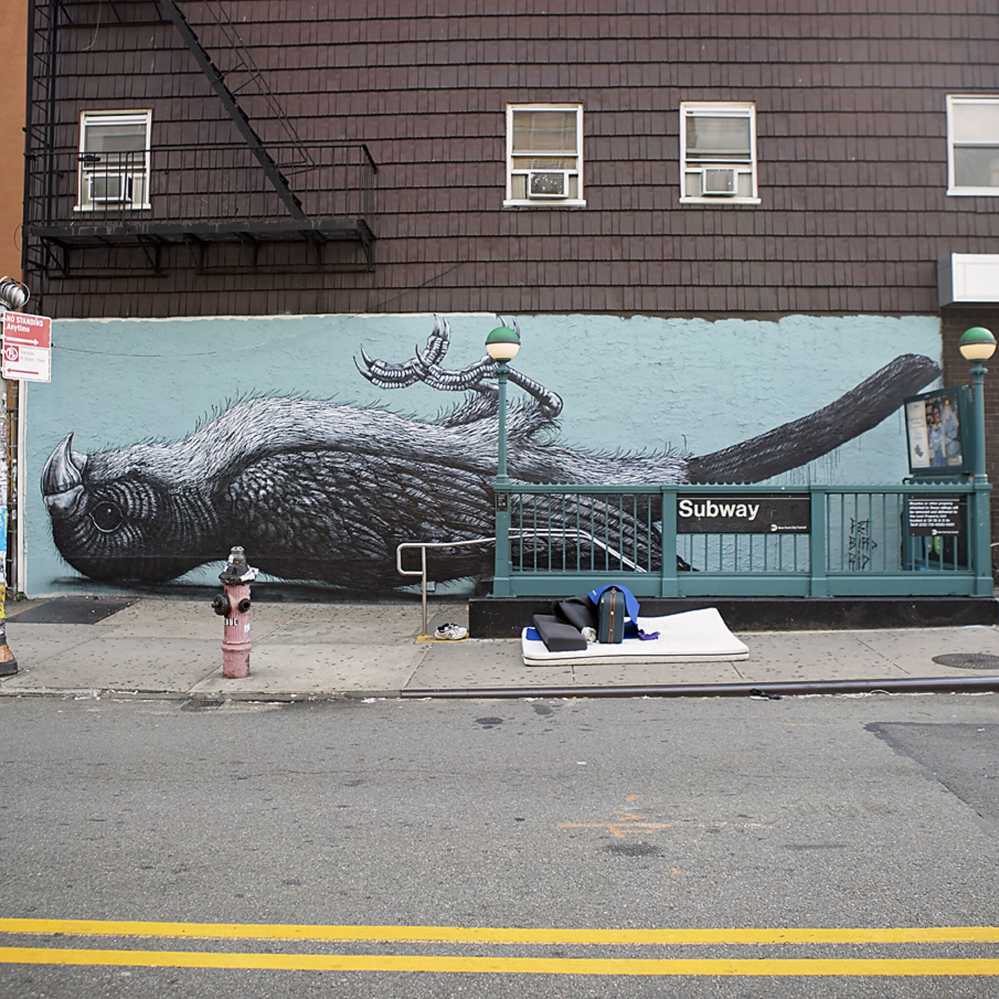 Roa&mdash;Pet Bird
