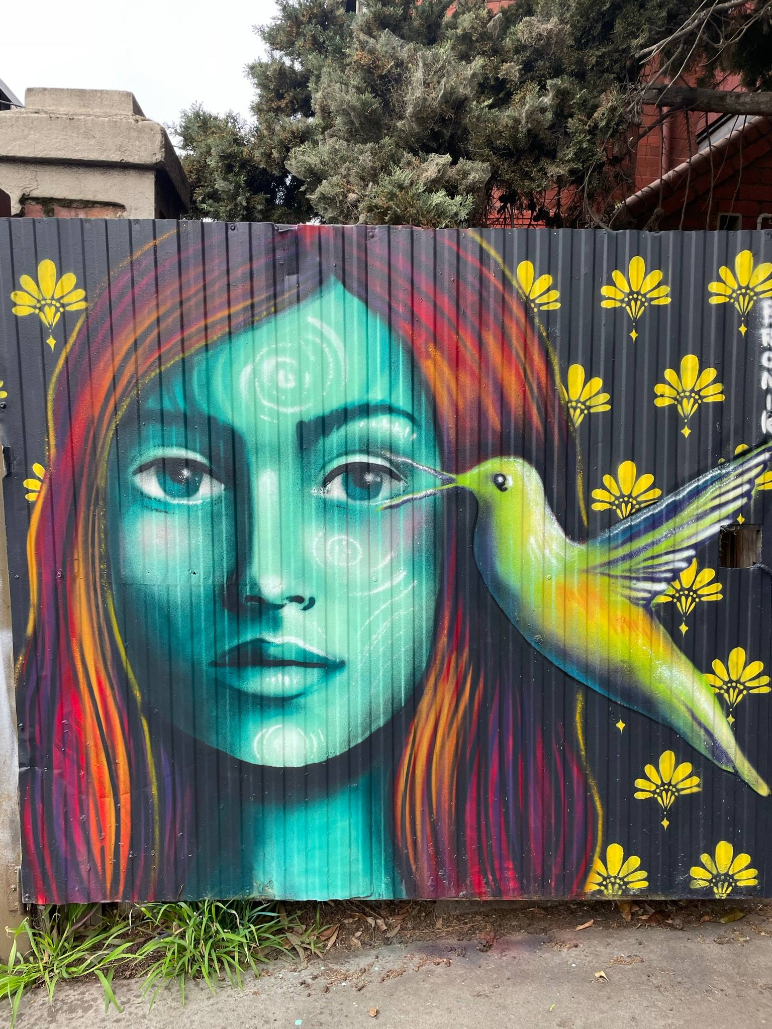 BRONIK&mdash;Picaflora