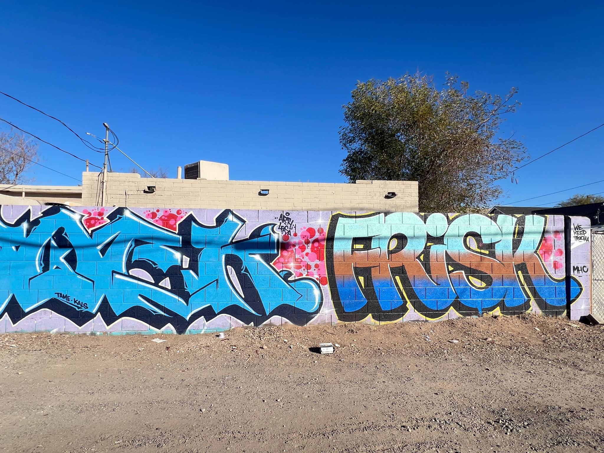 Unknown - Phoenix&mdash;Untitled